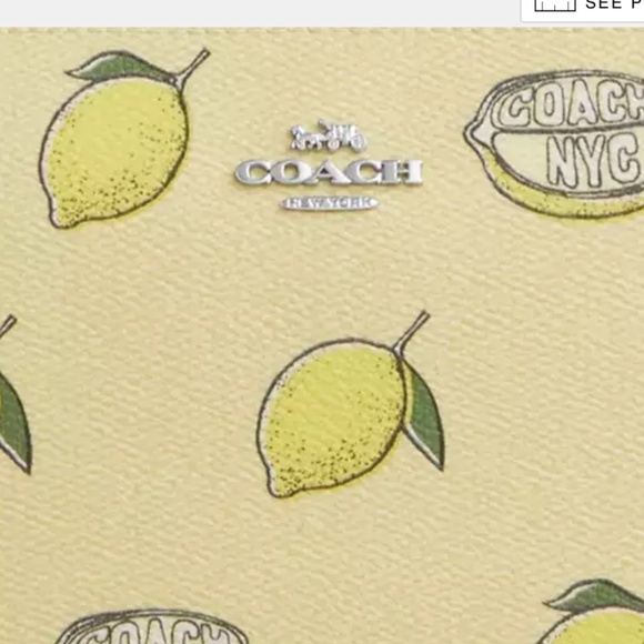 BRAND NEW COACH === Nolita 19 With Lemon Print - Picture 2 of 6